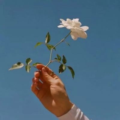 缚灵传无限火力版下载